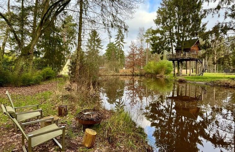 Overnachten in een boomhut in België De 10 x leukste boomhutten