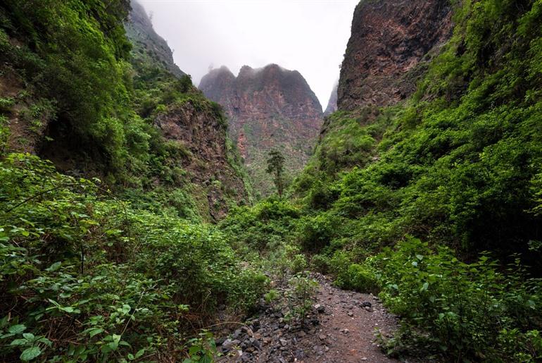 Barranco de Badajoz, Tenerife