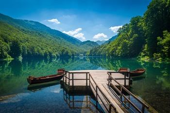 Biogradska Gora National Park Montenegro