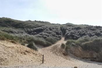 Dune de la Slack - Côte d'Opale