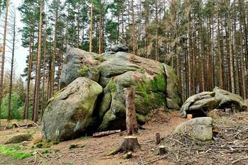 Froschfelsen rotsen, Harz