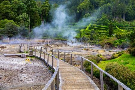 Fumarolen rond Lagoa das Furnas, Sao Miguel