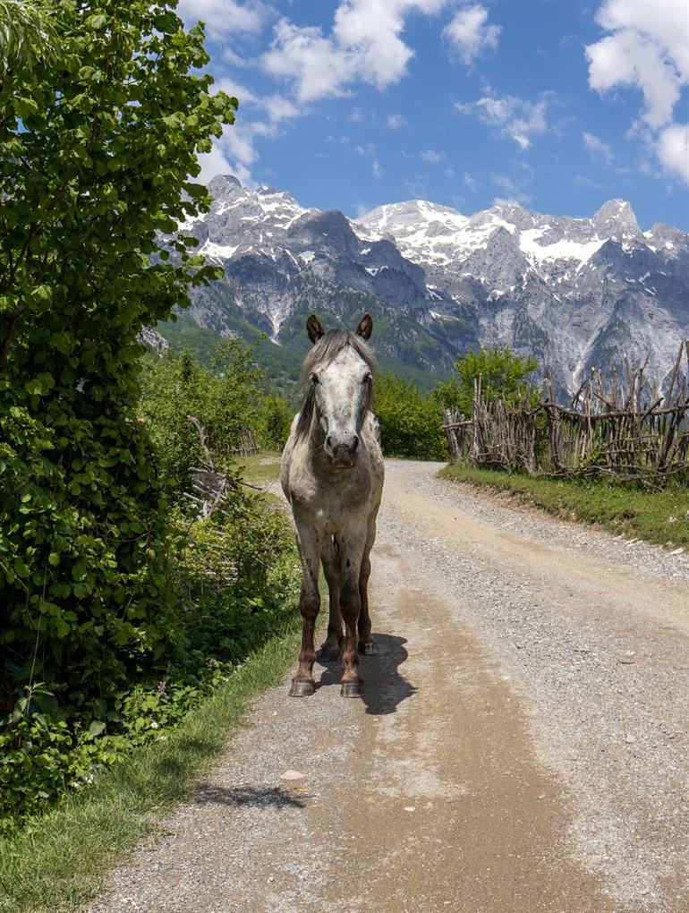 Hike van Theth naar Valbona door de Albanese Alpen