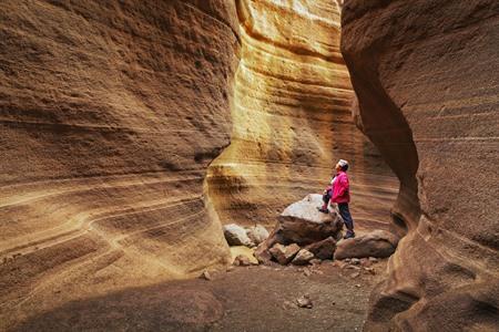 Mooiste daguitstappen en tours op Gran Canaria