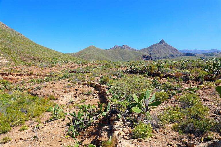 Wandelpad naar Roque del Conde