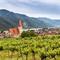 Weißenkirchen in der Wachau met de wijngaarden, Oostenrijk