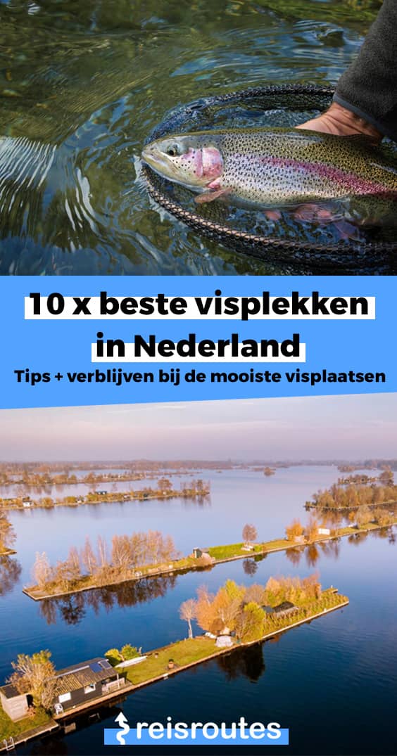 Pinterest 10 beste visplekken in Nederland 2024: Tips met de mooiste visplaatsen + kaartje