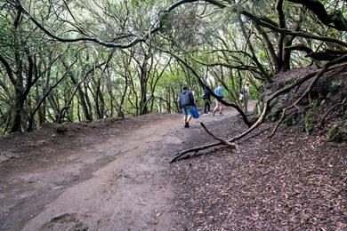 Het Bosque de los Enigmas - pad wandelen: langs de mooiste uitzichtpunten