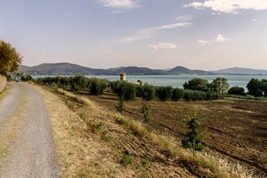 Wandelen op Isola Polvese in het Lago Trasimeno