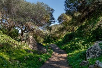 Wandel rond Barranco de los Cernícalos